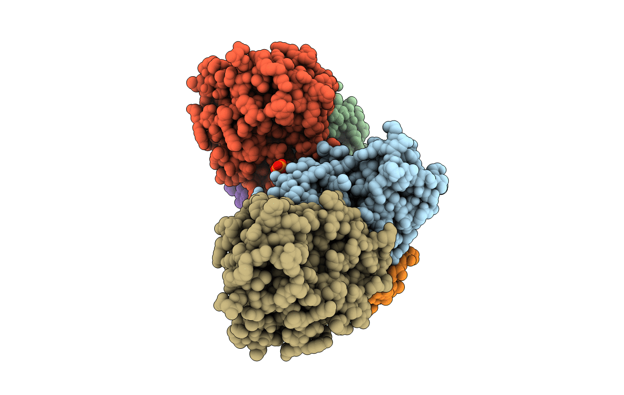 5H9D image