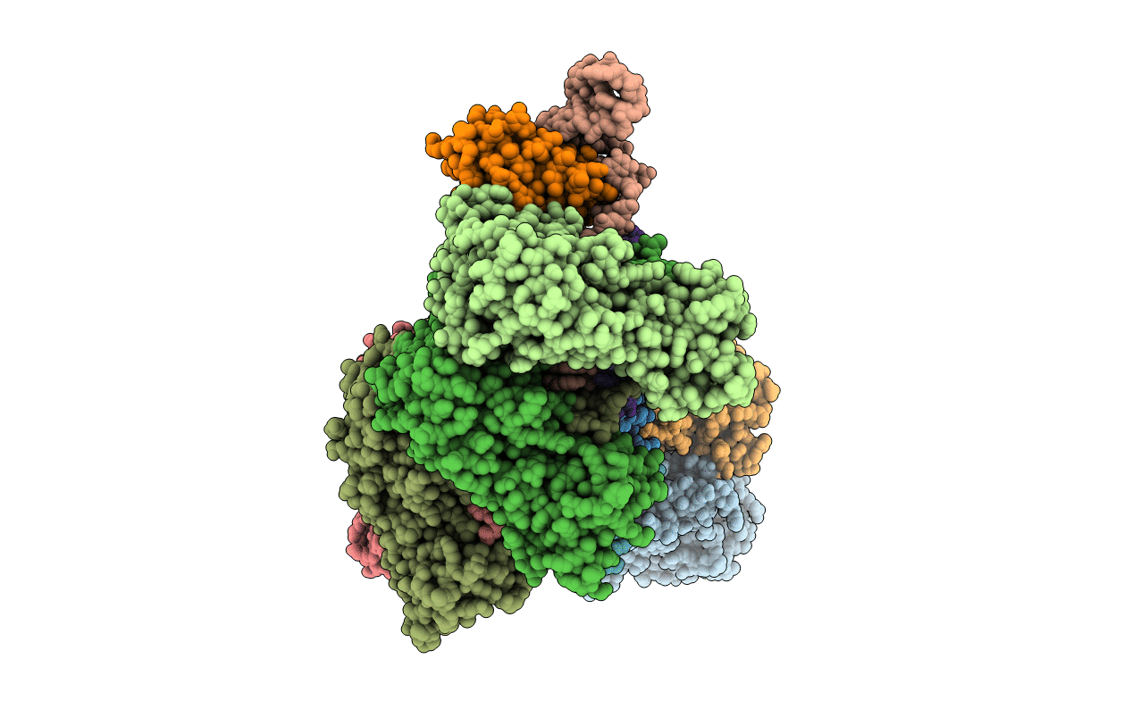 5H9E image