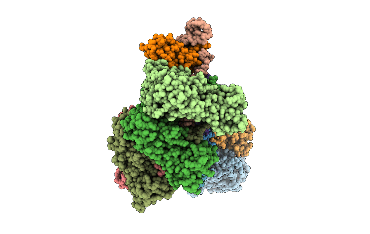 5H9F image