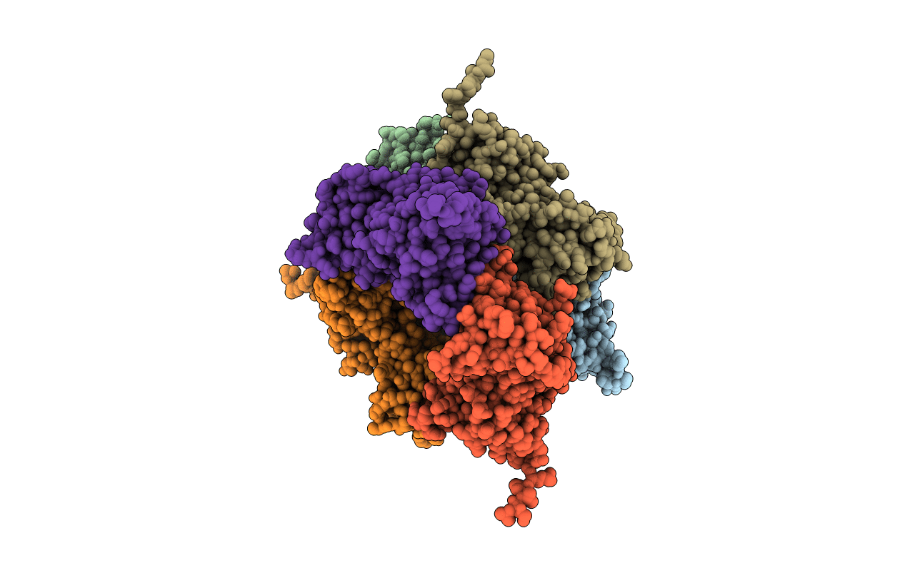 5HAC image