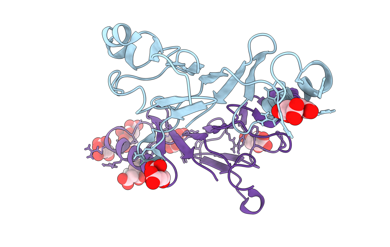 5HB5 image
