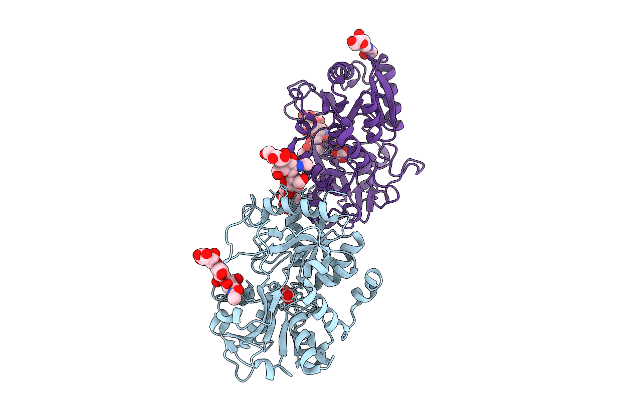 5HBC image
