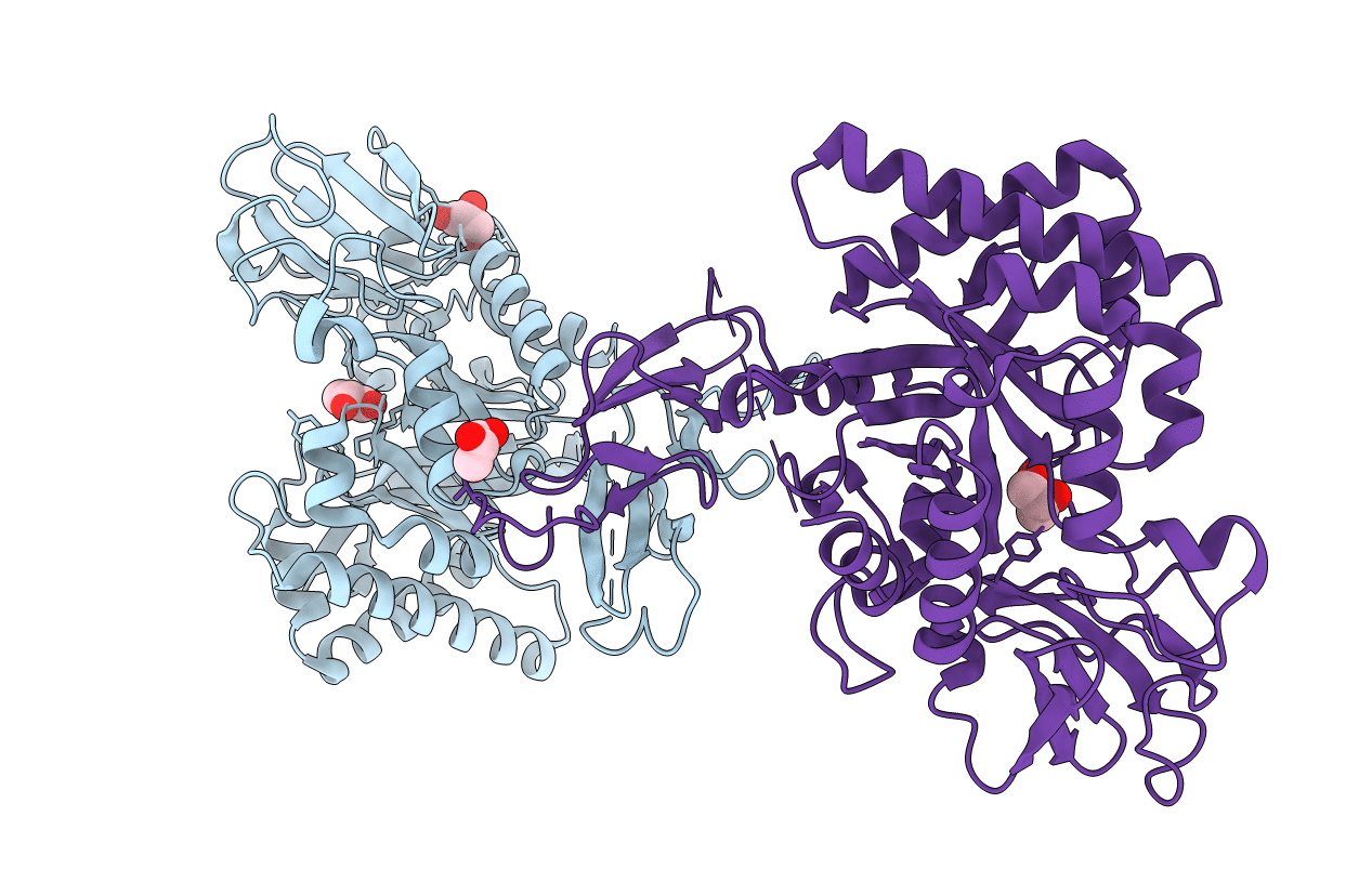 5HBF image
