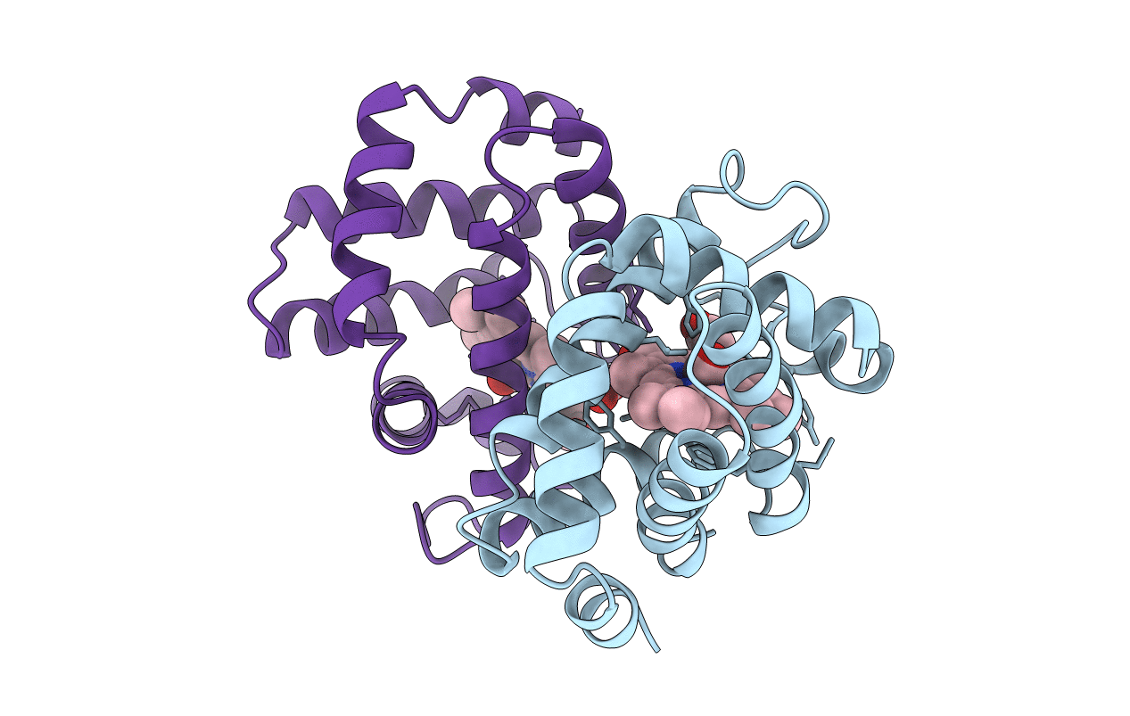 5HBI image