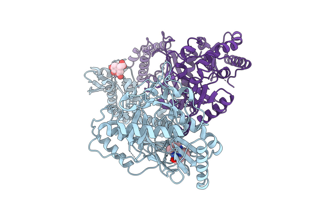 5HBM image