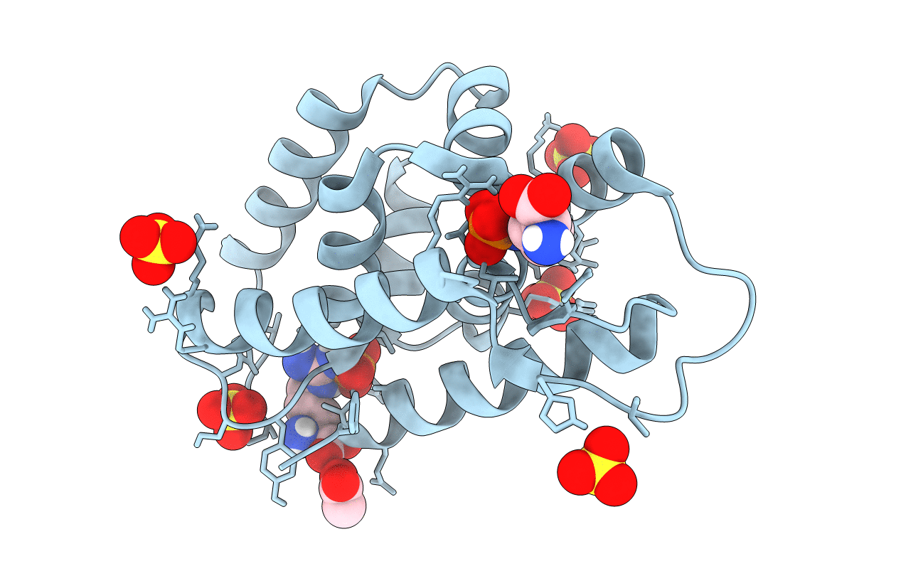 5HBN image