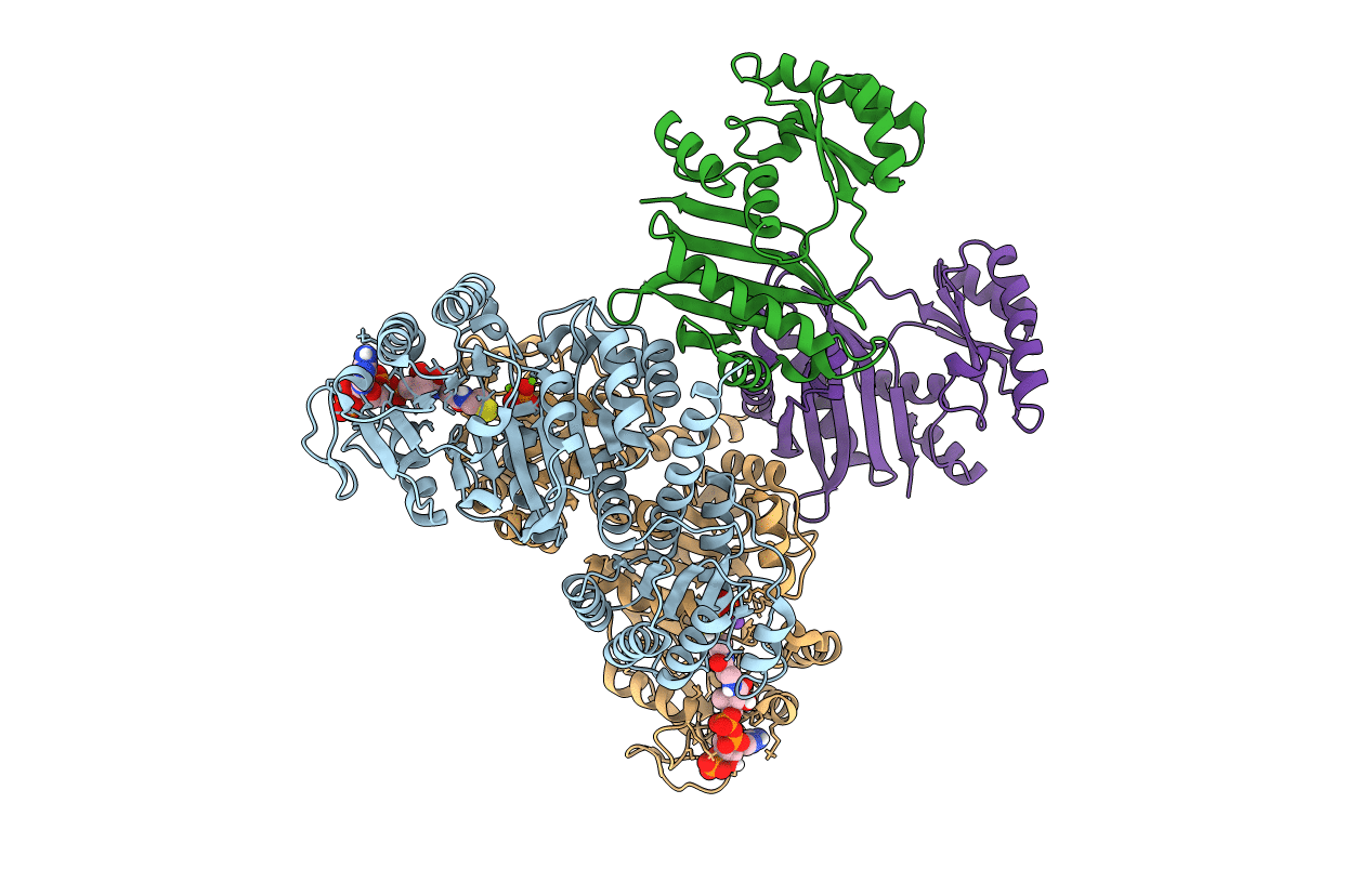 5HBR image