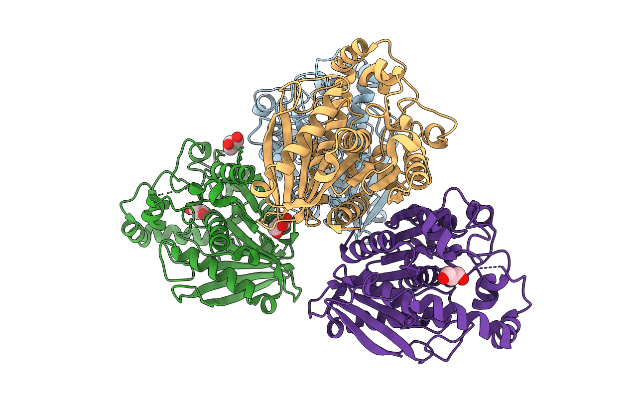 5HC3 image