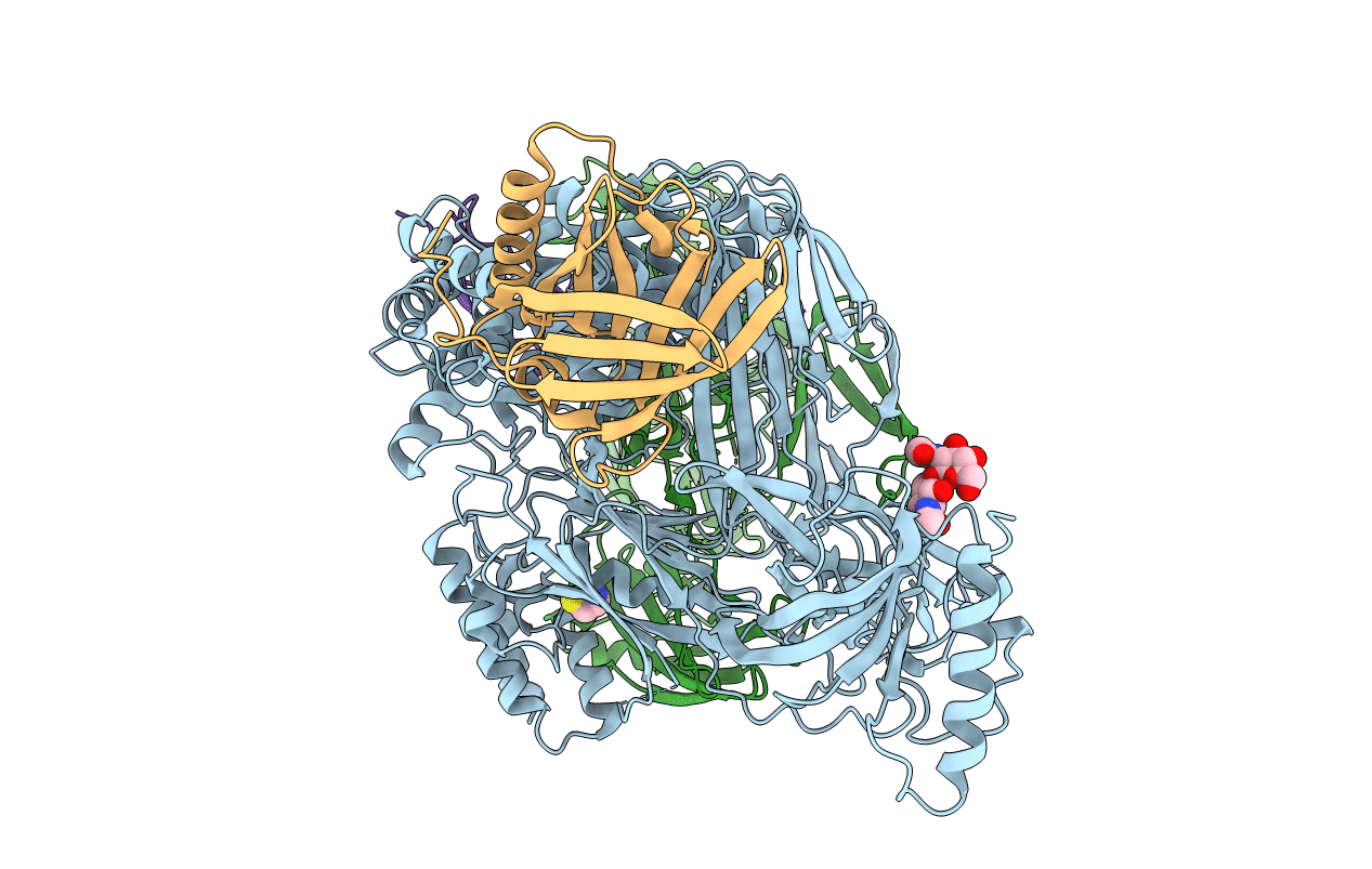 5HCE image