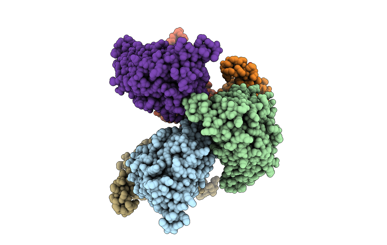 5HCF image