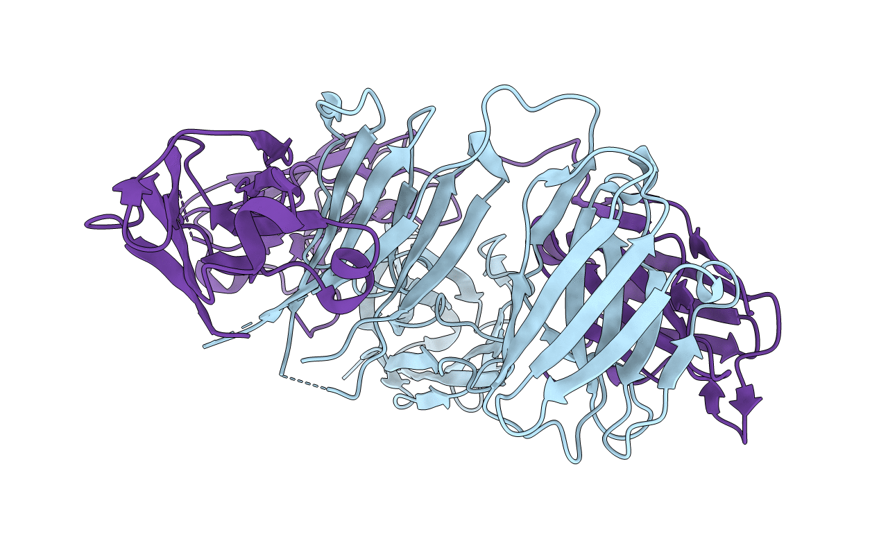 5HCG image