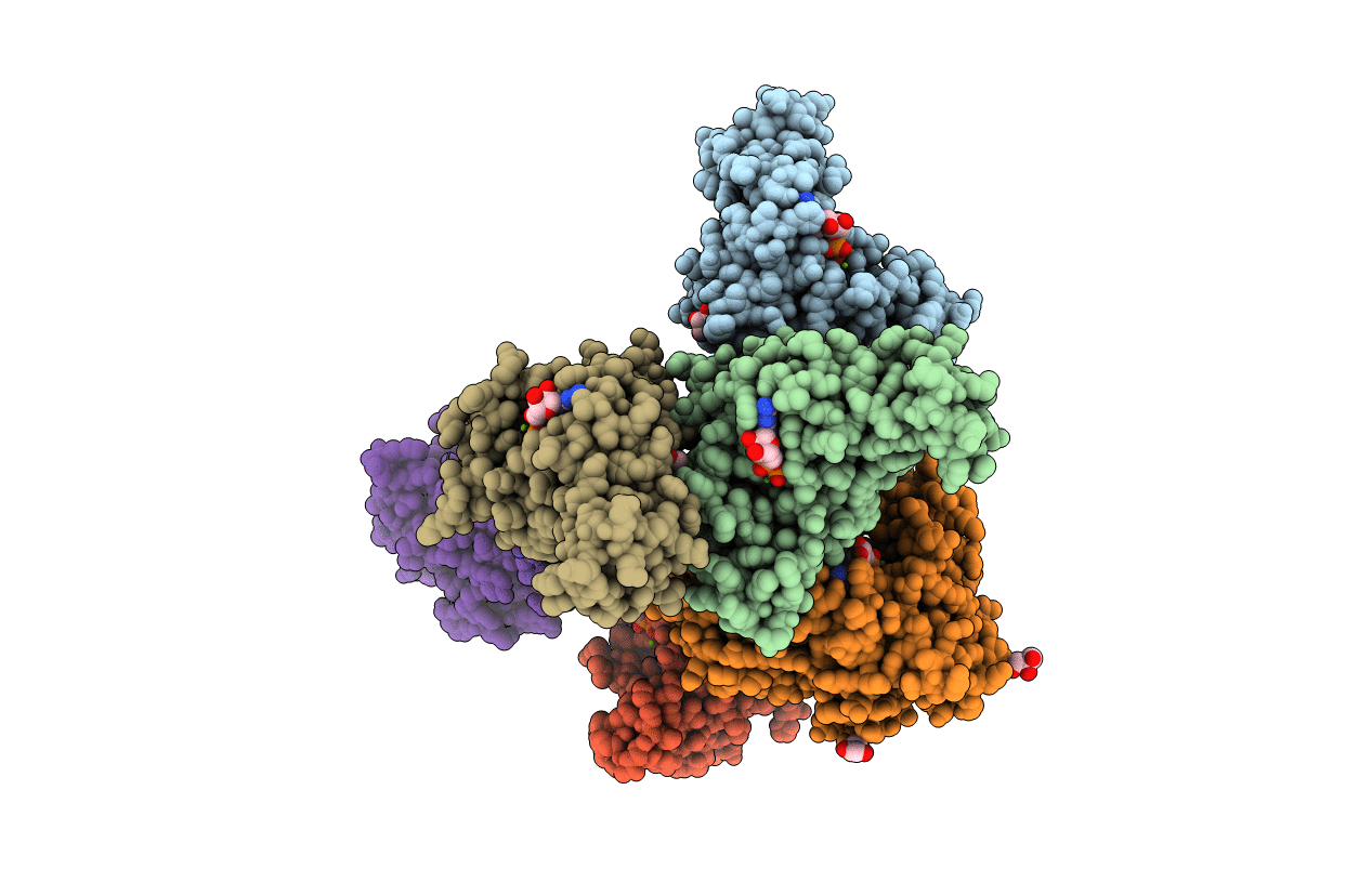 5HCI image