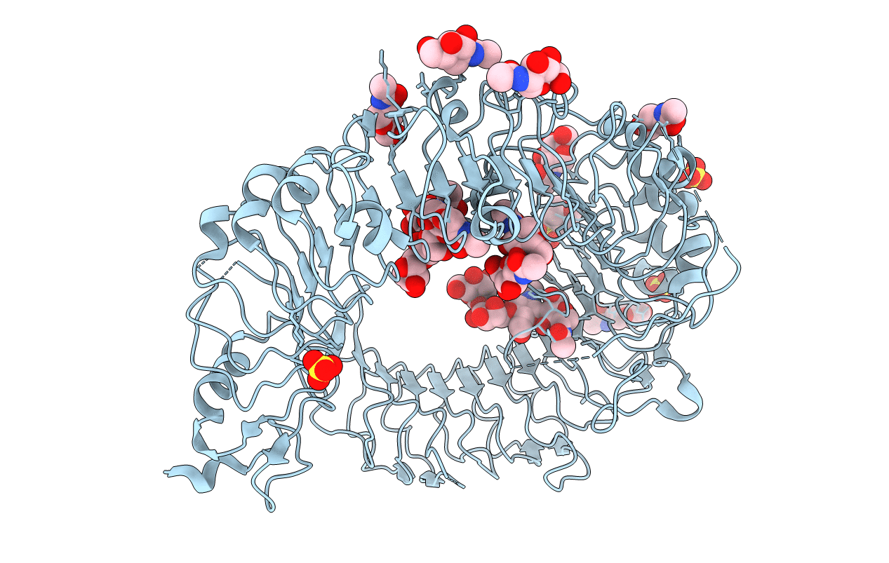 5HDH image