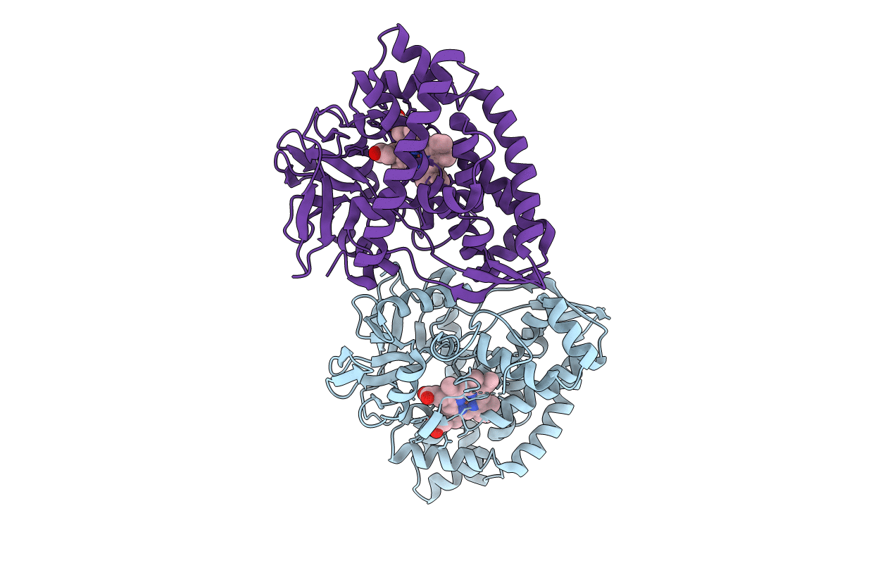 5HDI image