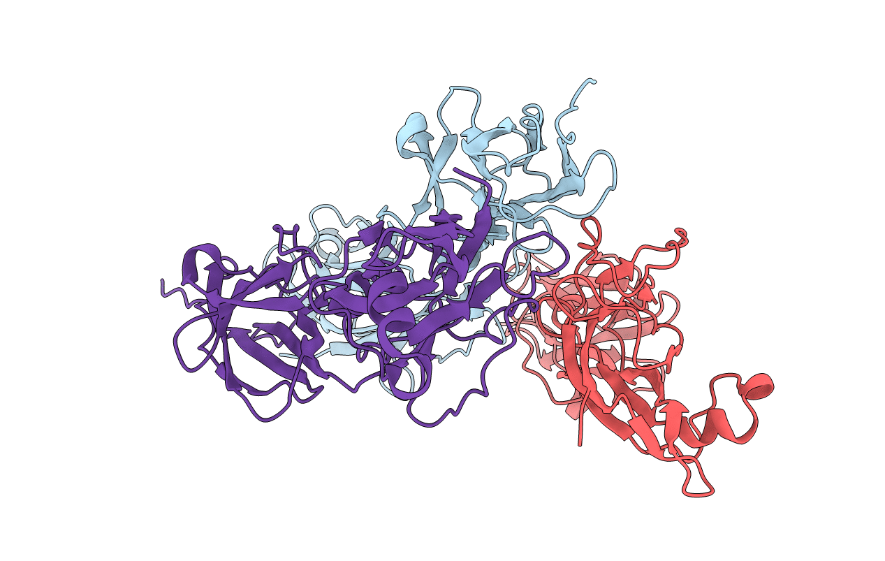 5HDL image