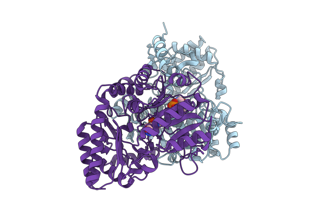 5HDM image