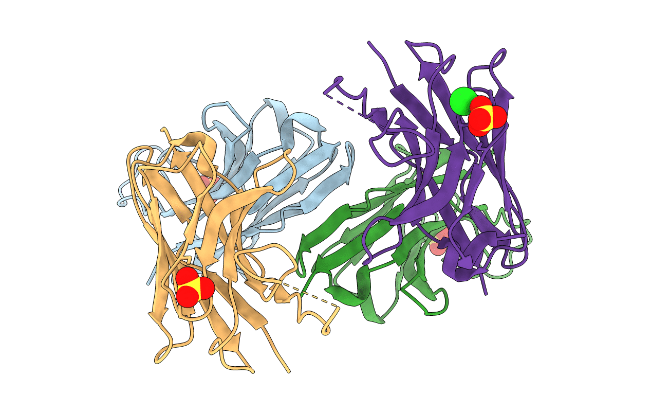 5HDO image