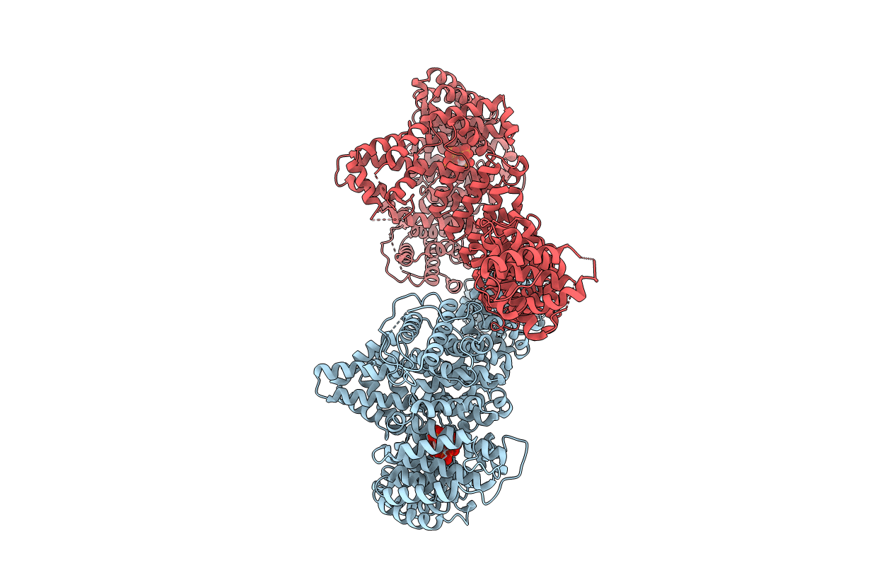 5HDT image