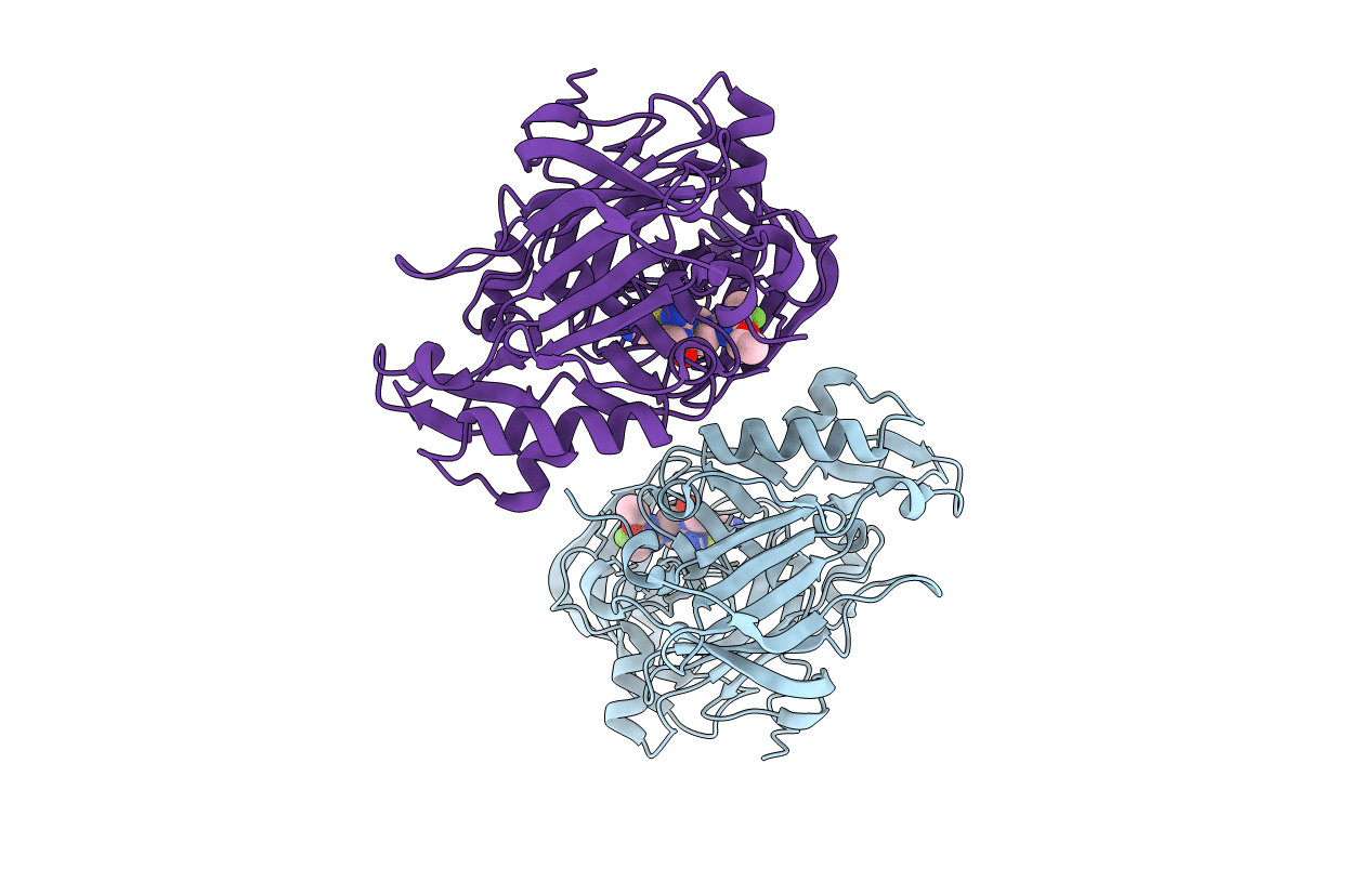 5HDX image