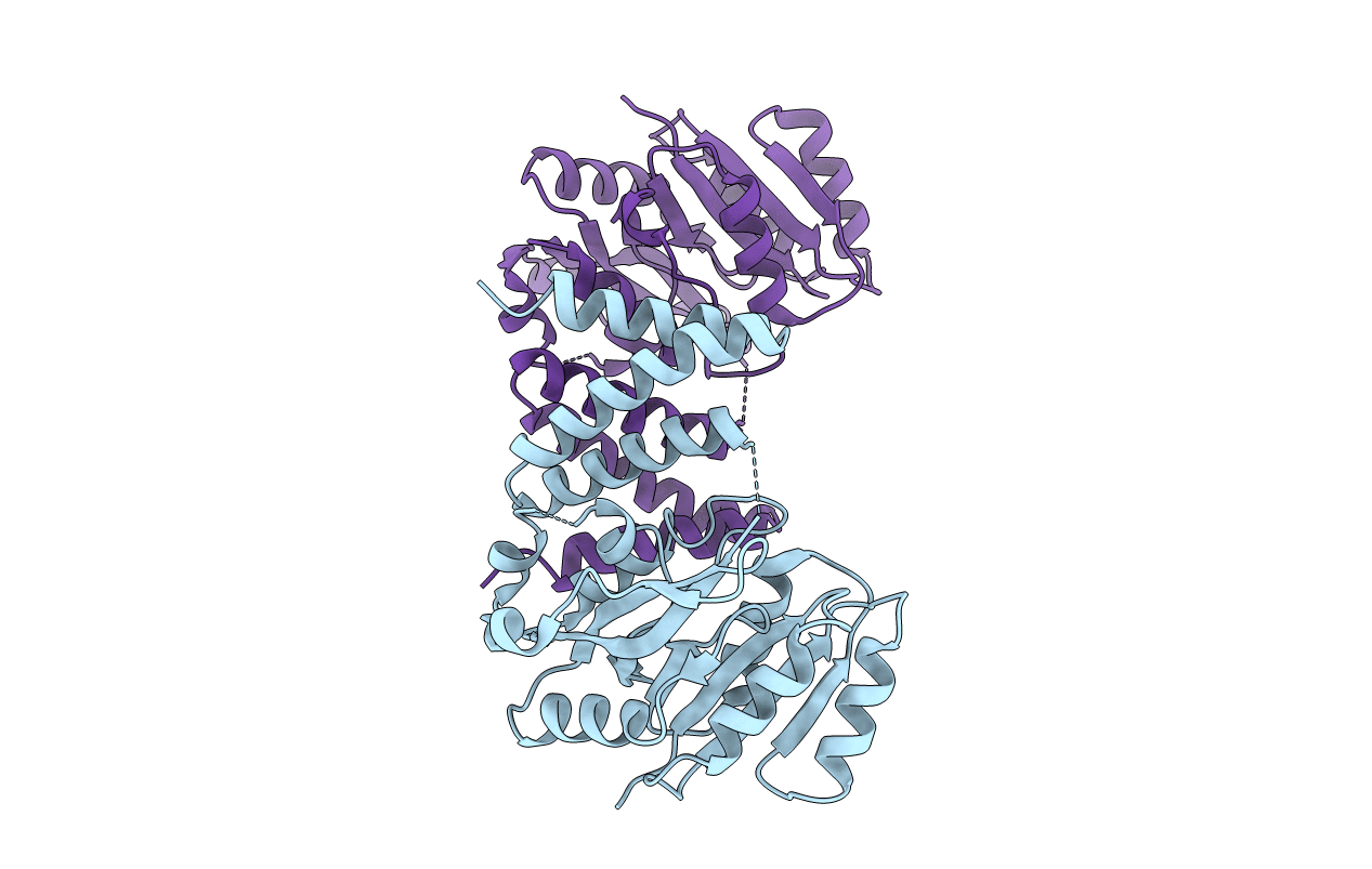 5HEC image
