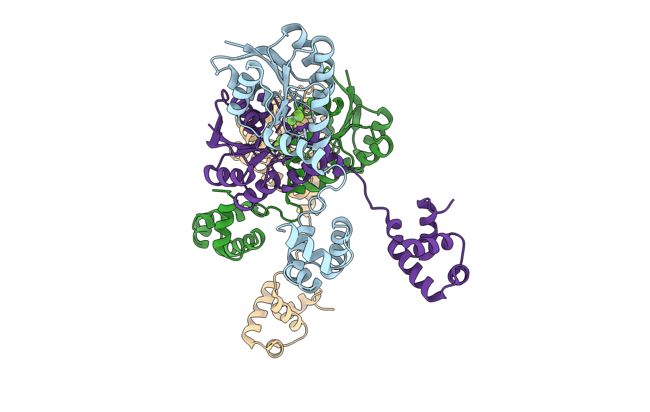 5HEV image