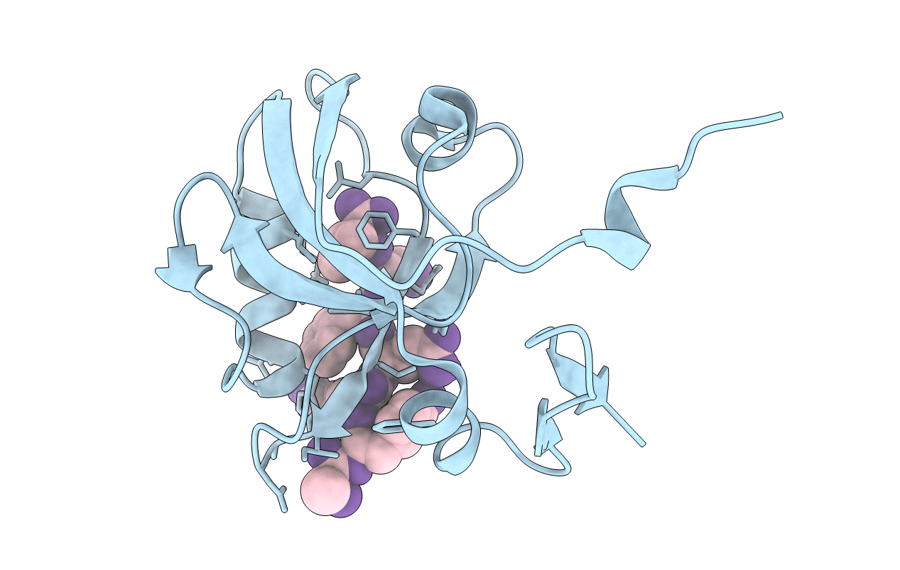 5HF1 image