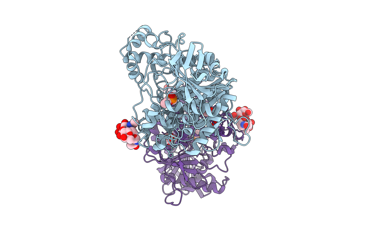 5HF8 image