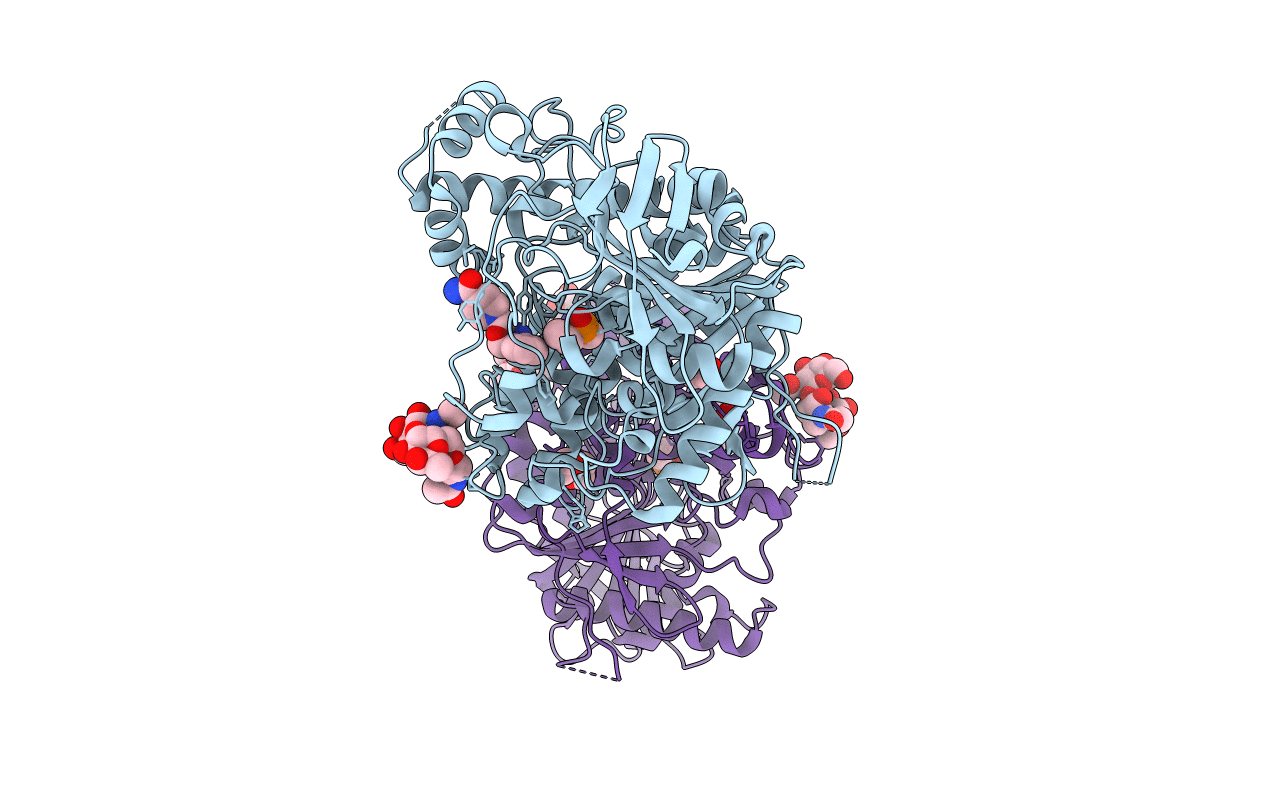 5HF9 image