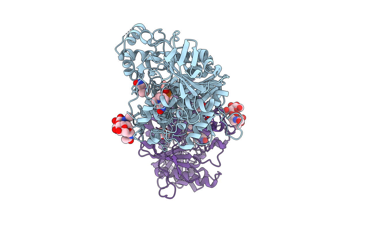 5HFA image