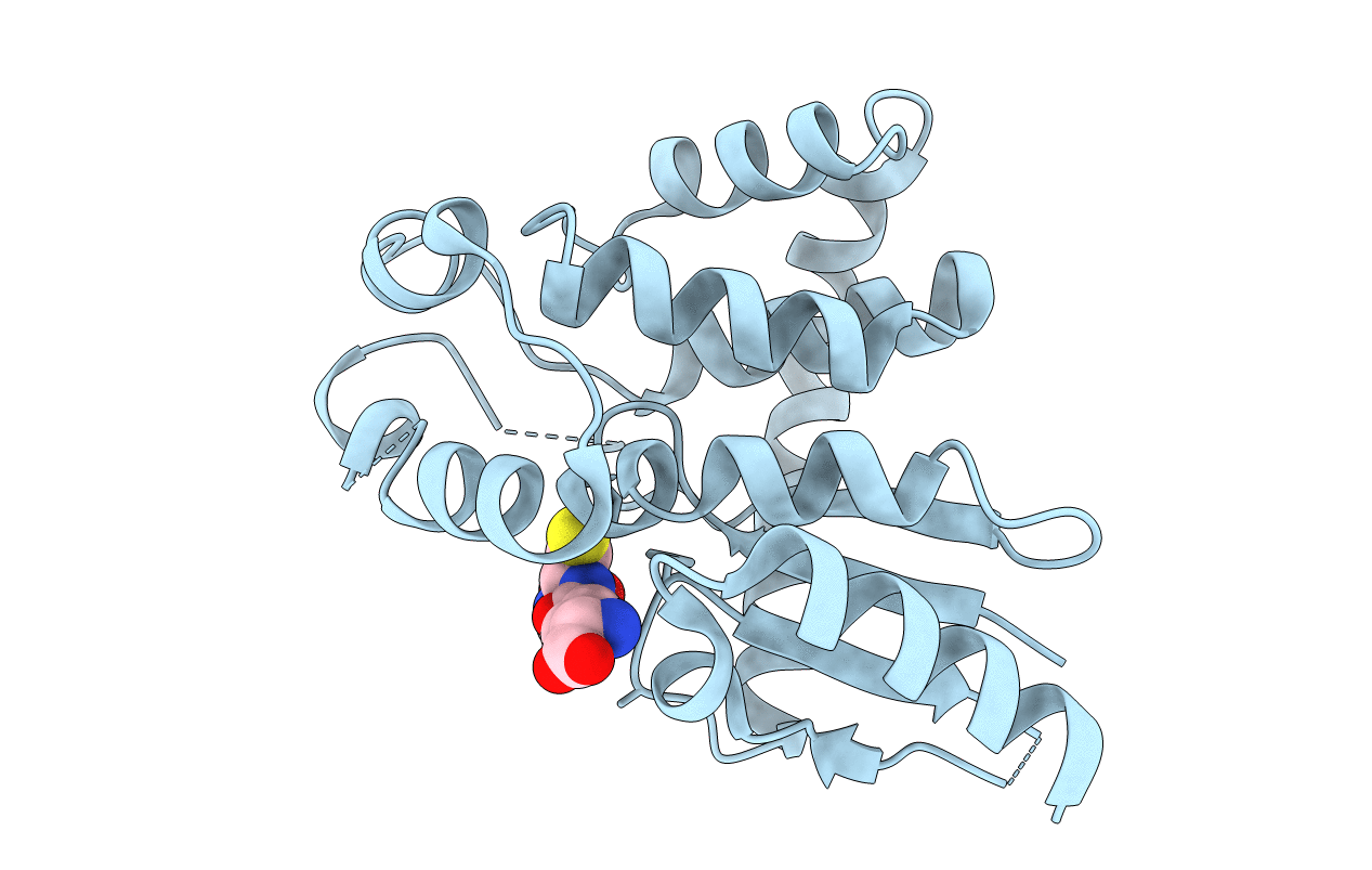 5HFI image