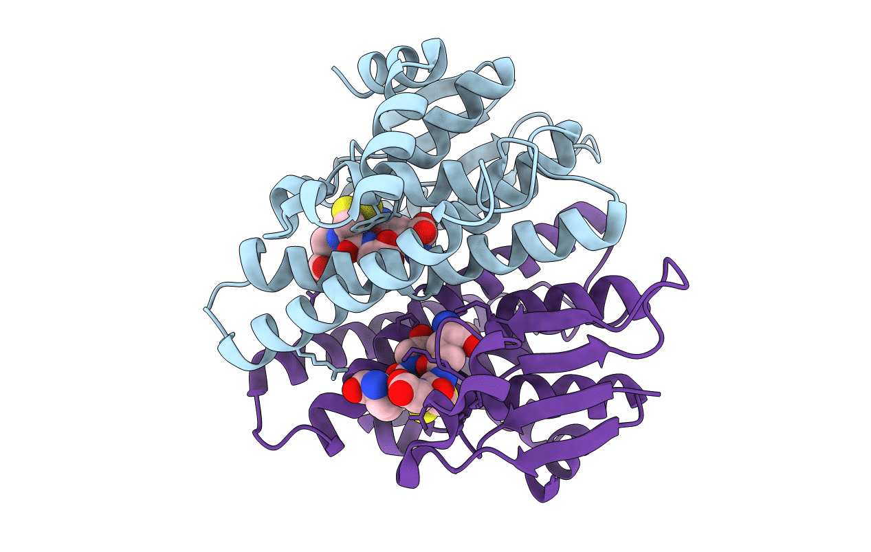 5HFK image