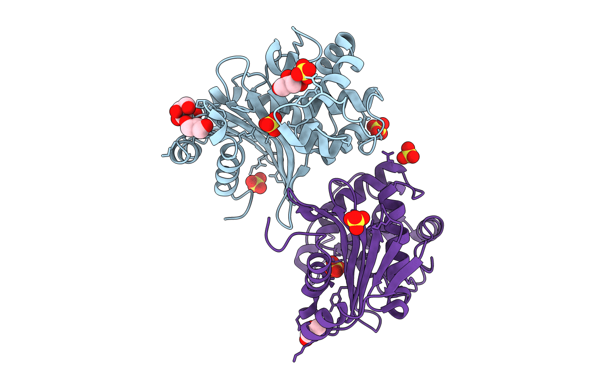 5HFO image