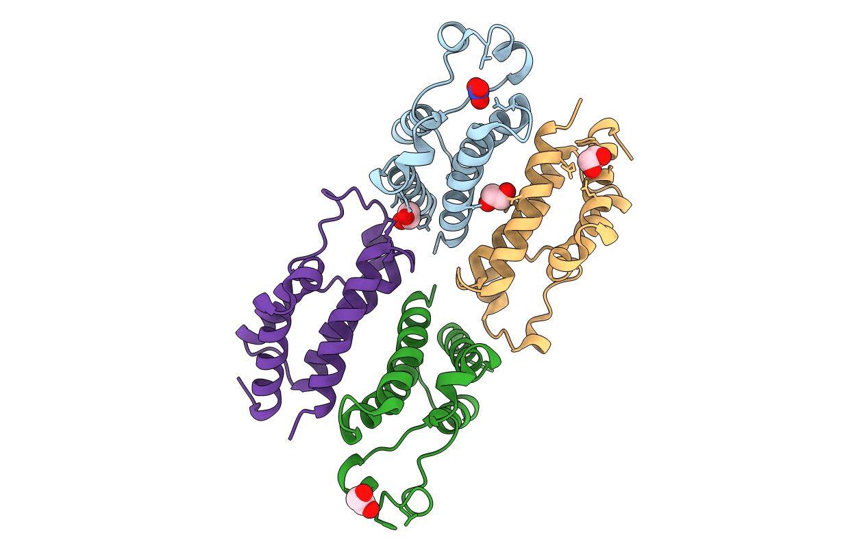 5HFR image