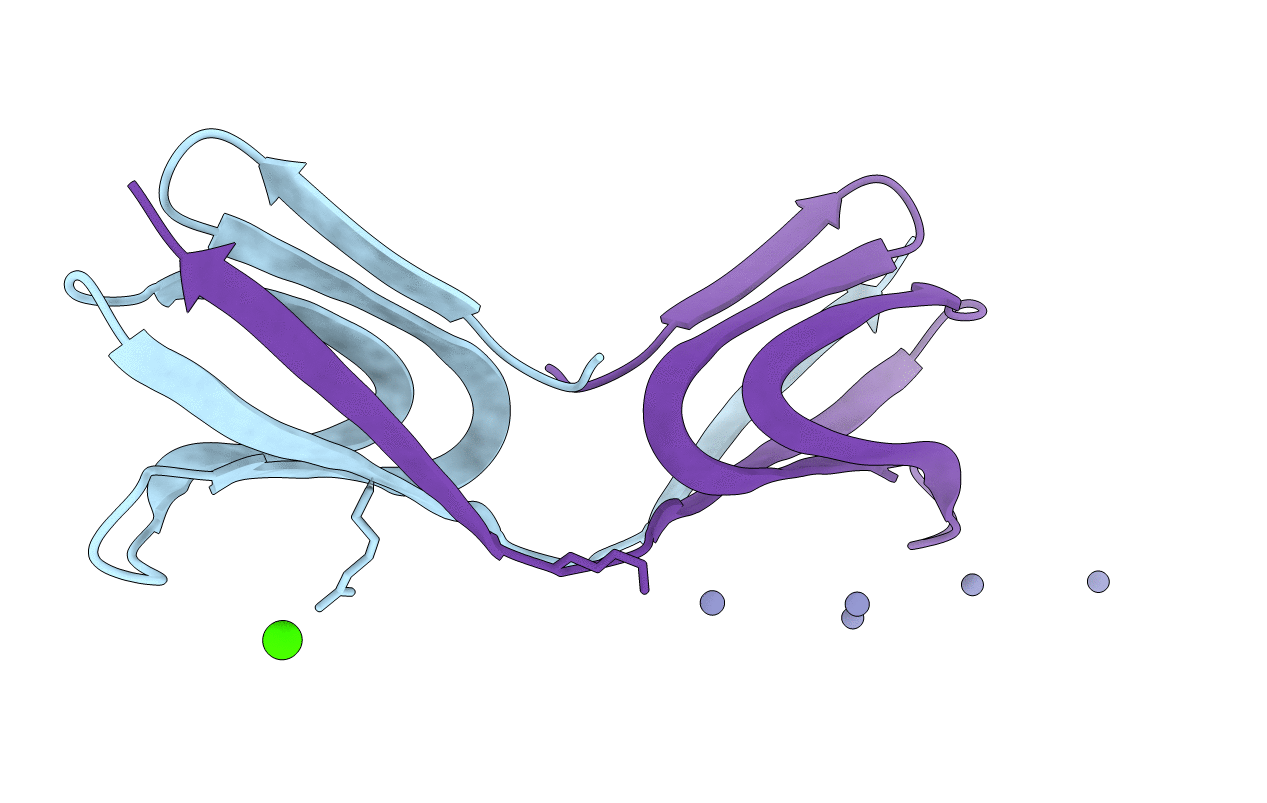 5HFS image