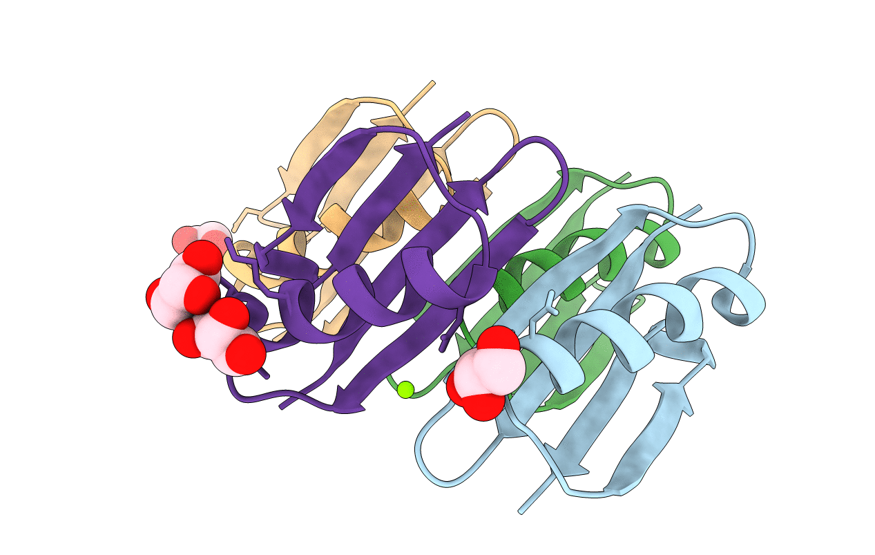 5HG2 image