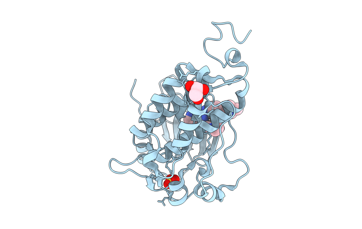 5HG5 image