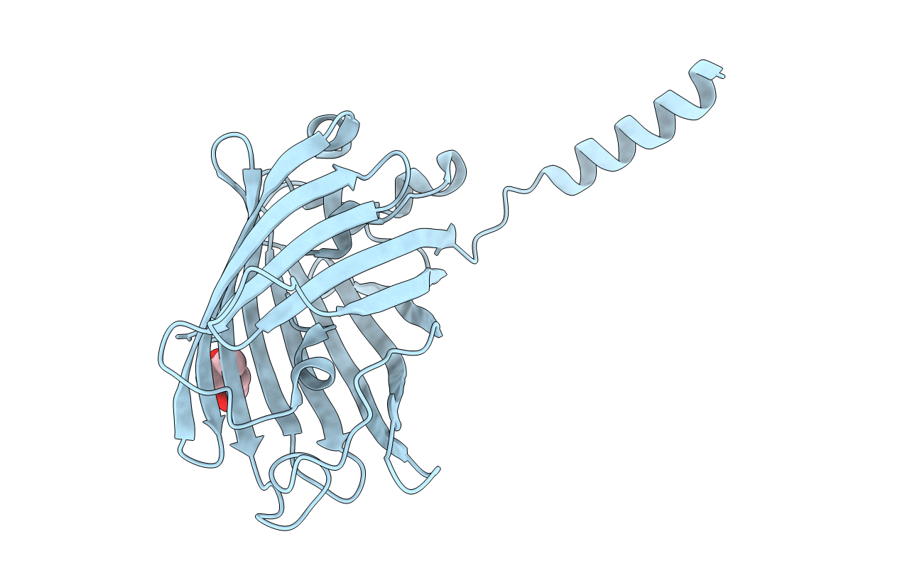 5HGE image
