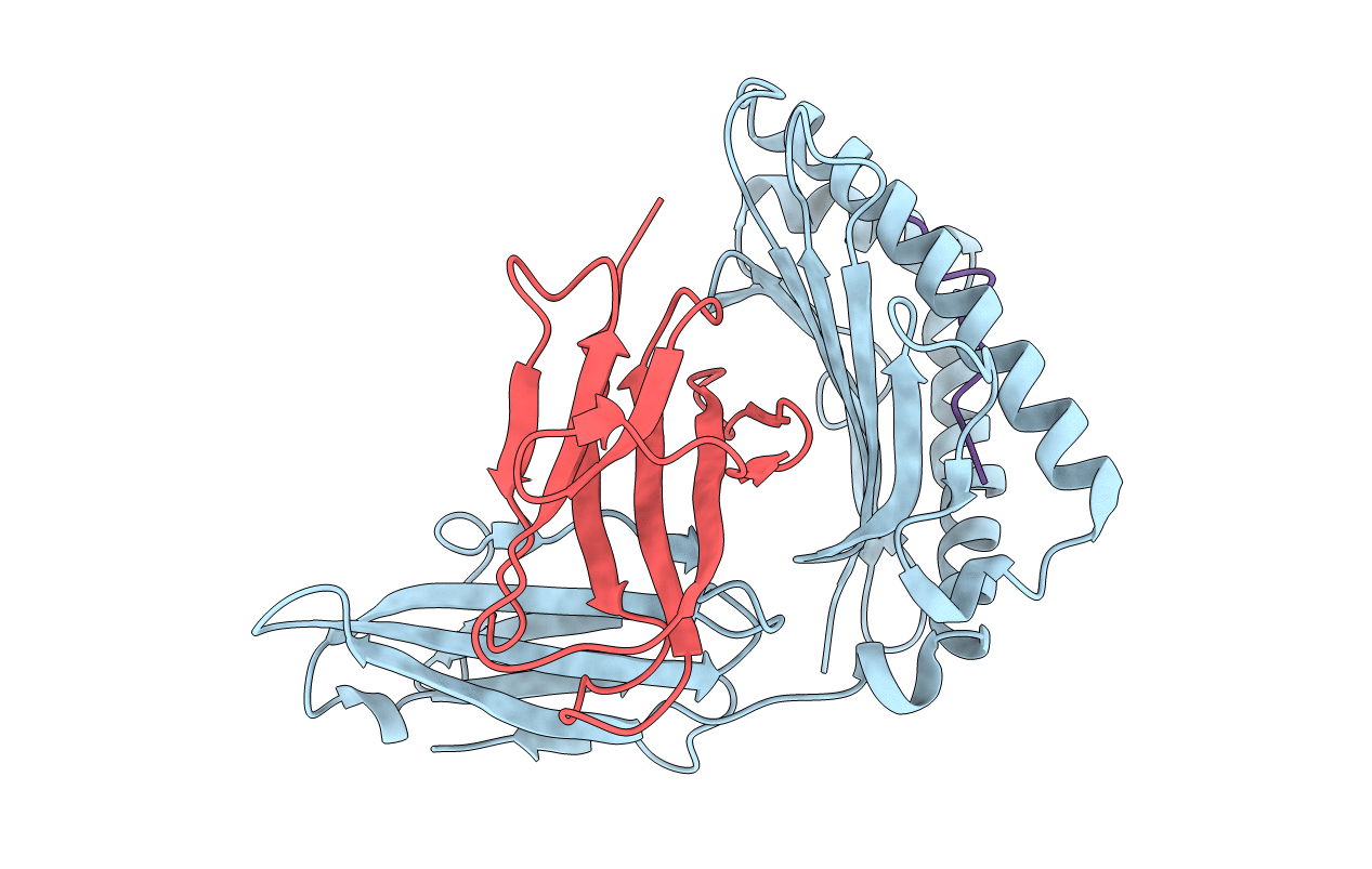 5HGH image