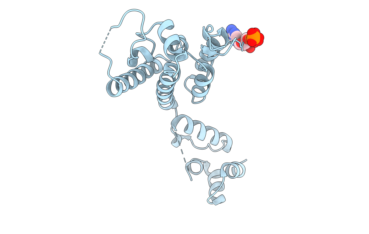 5HGM image