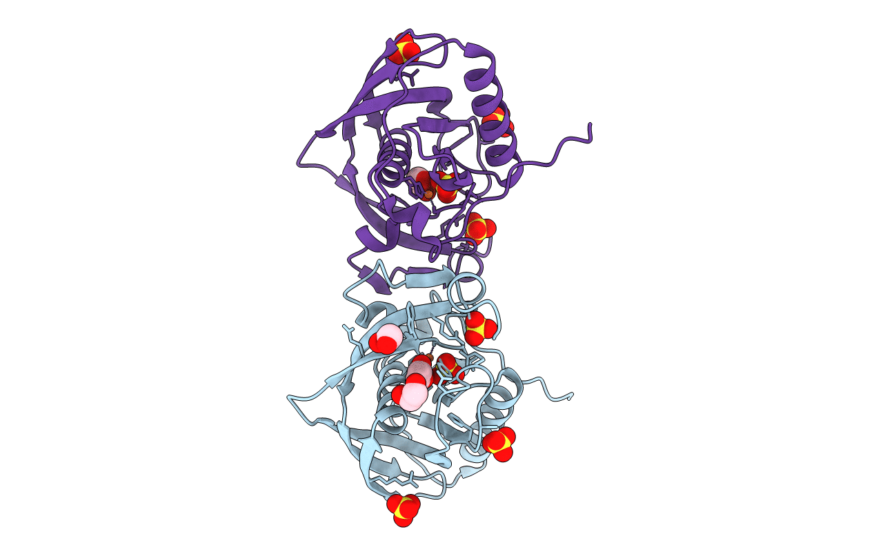 5HGW image