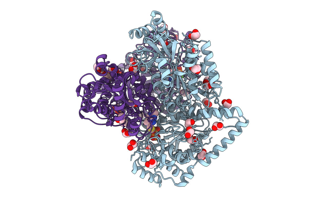 5HHT image