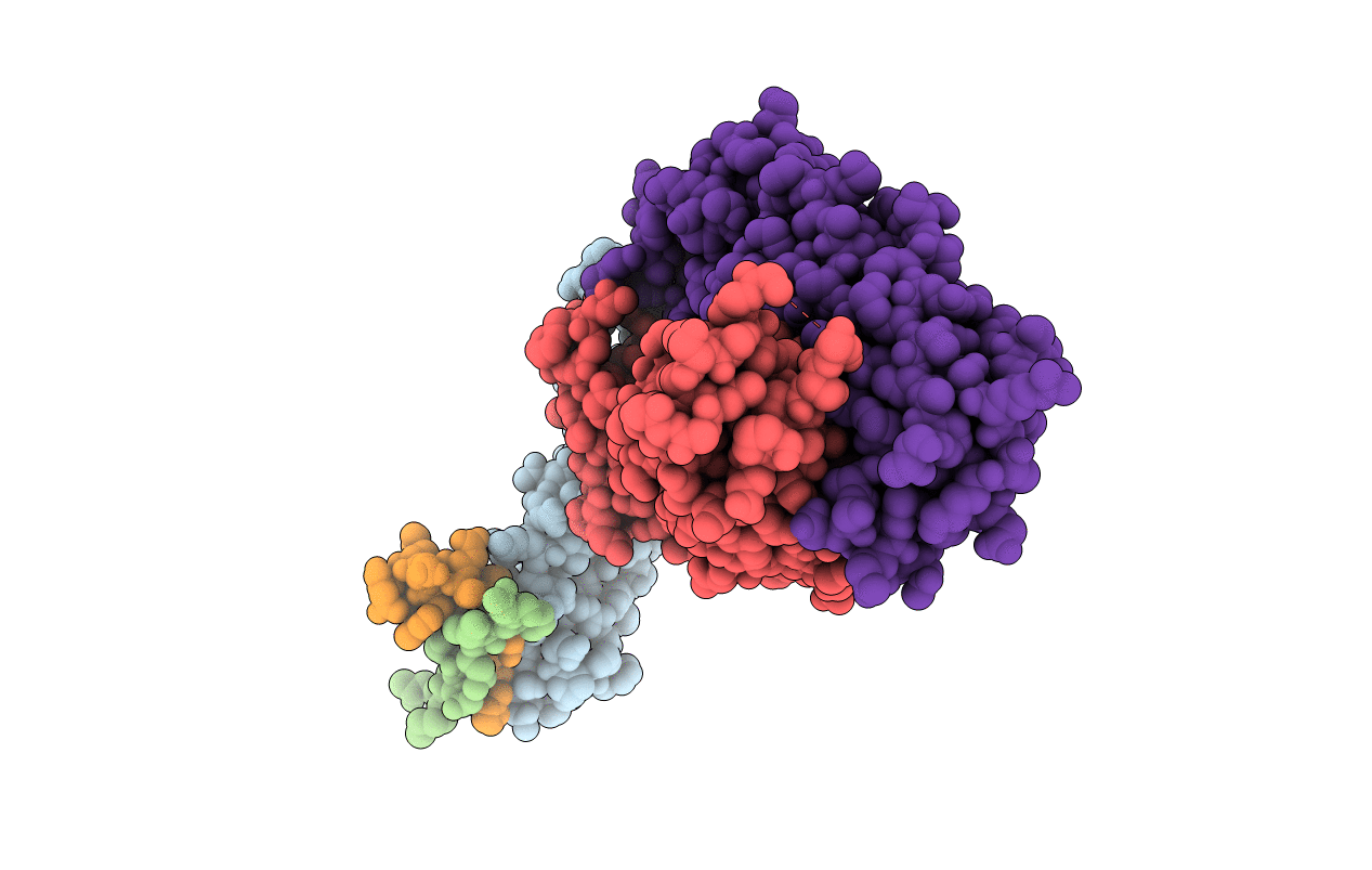 5HHV image