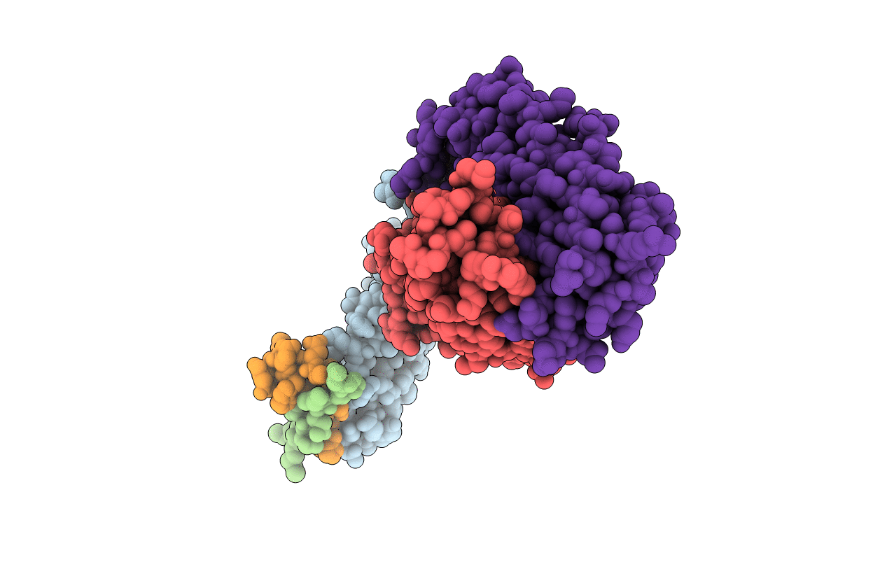5HHX image