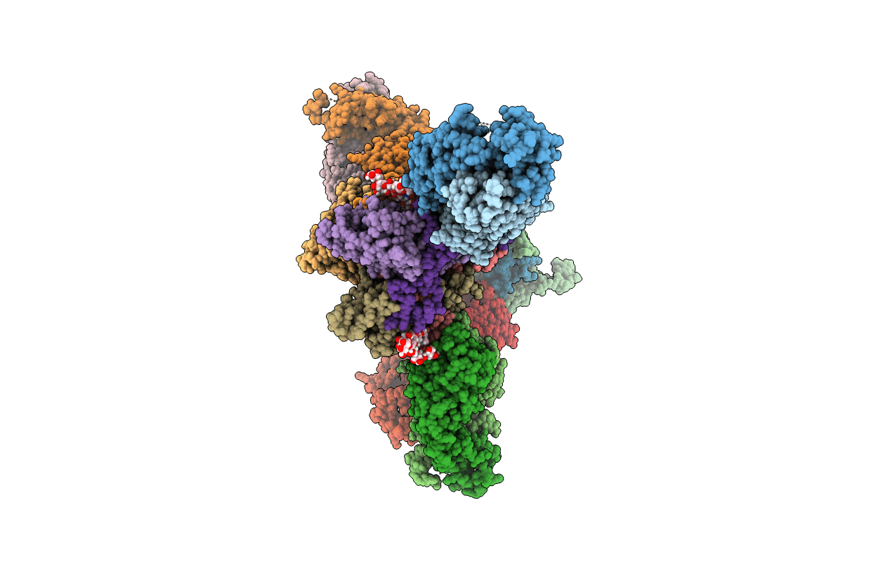 5HJ3 image