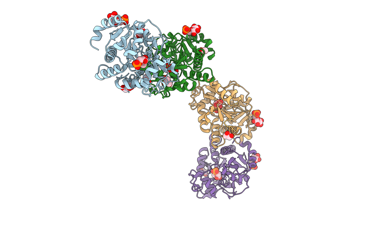 5HJ5 image