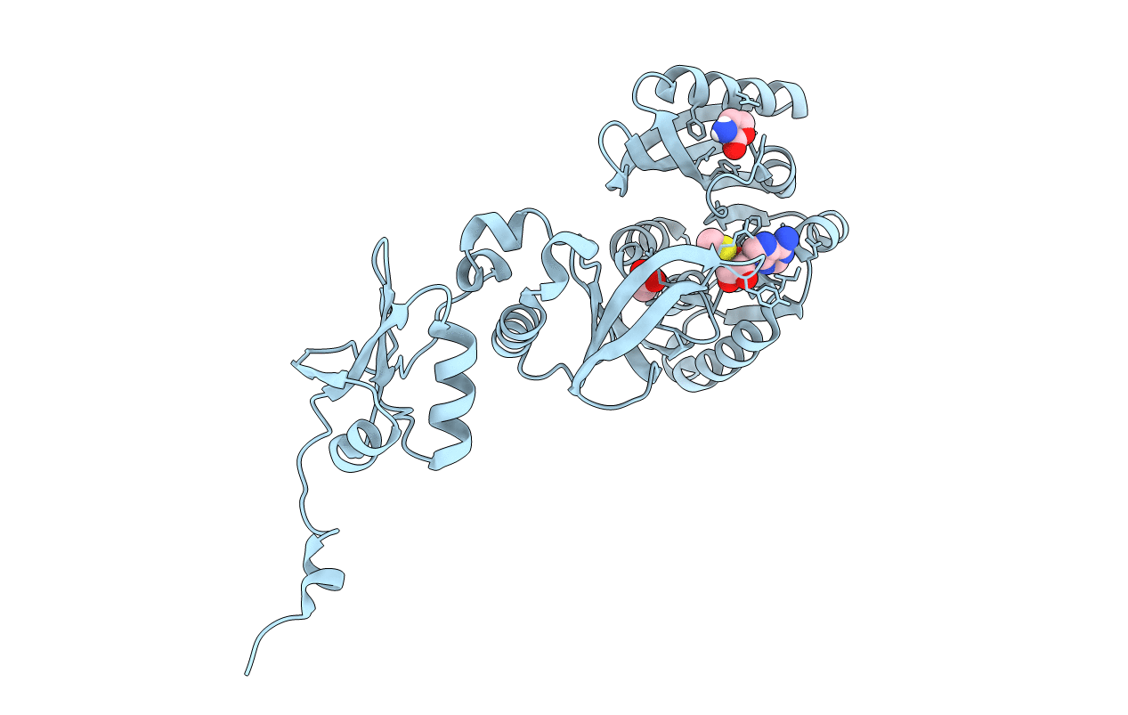 5HJM image