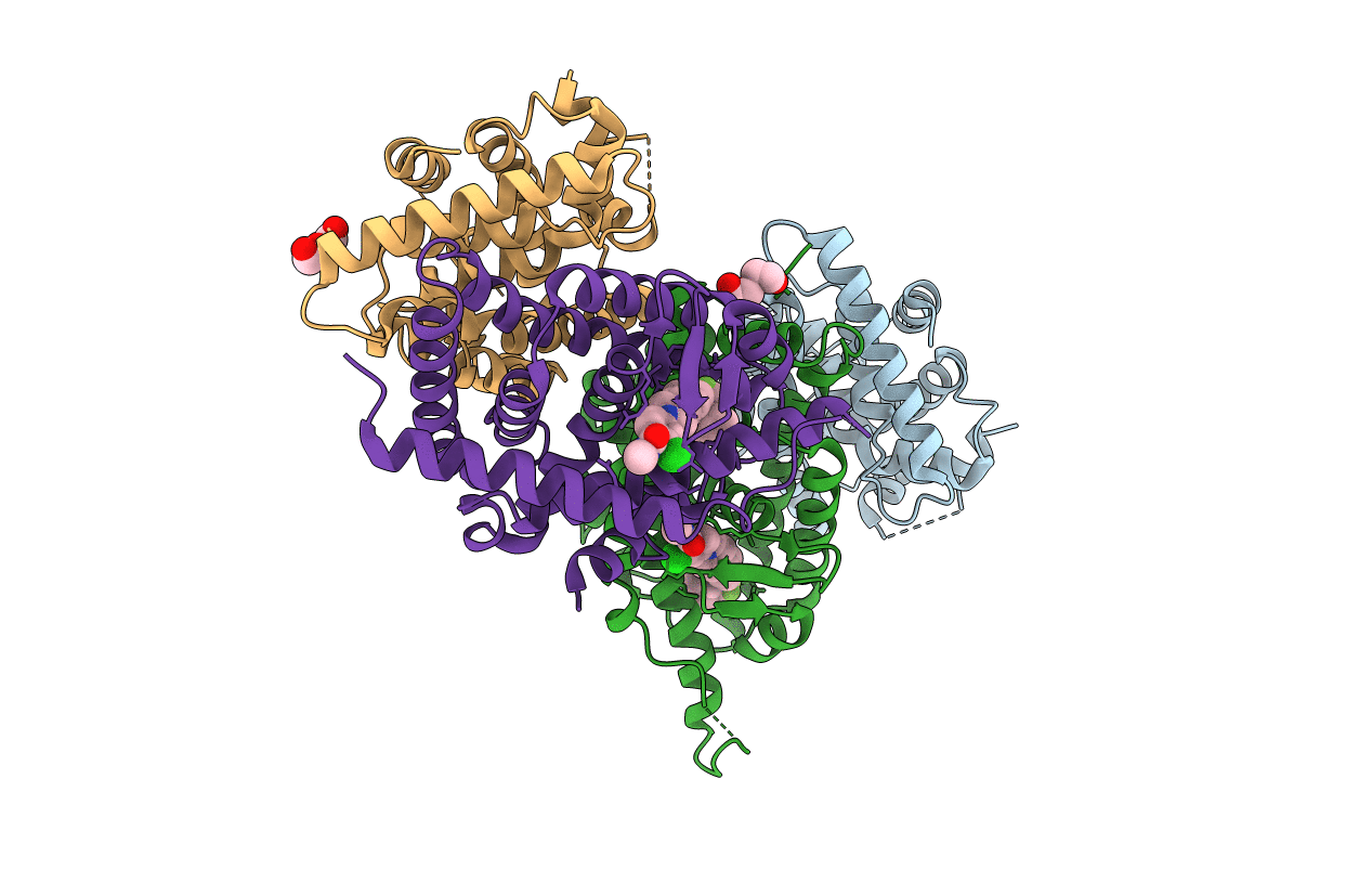5HJP image