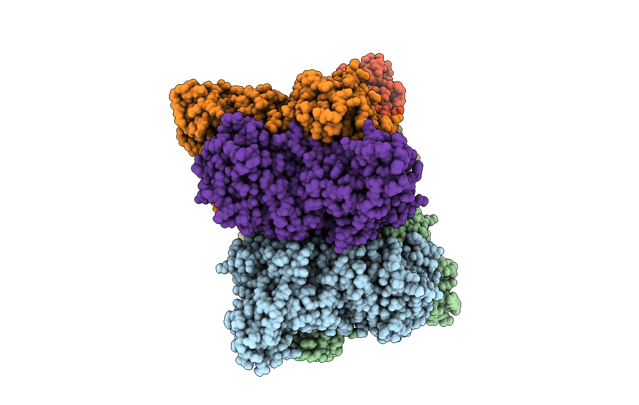 5HJX image