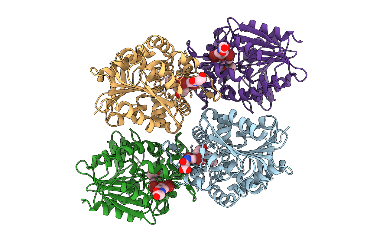 5HKB image