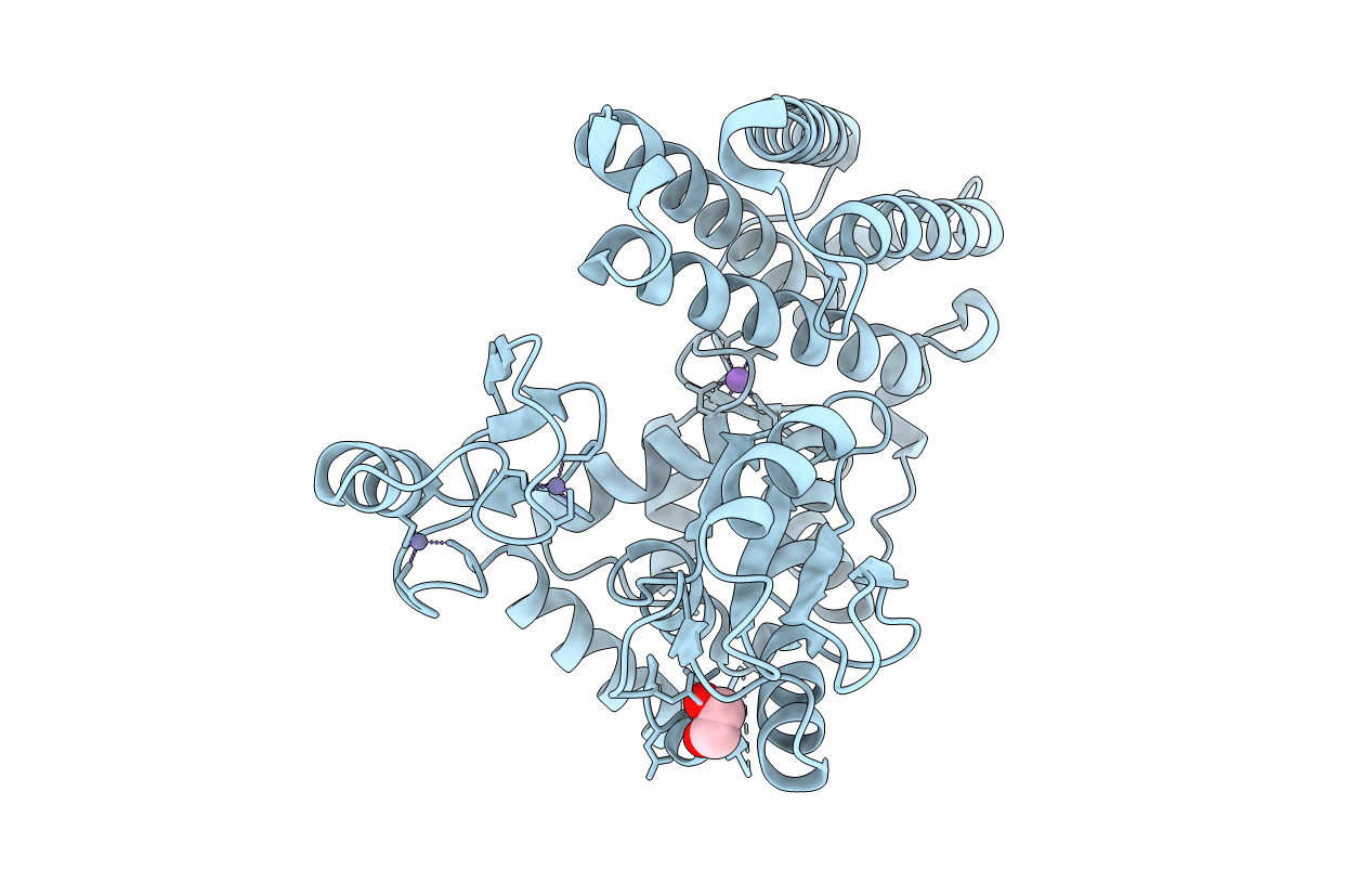 5HKX image